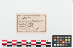 Etikett zu Eisendolchklinge (NHMW-PRAE-025111)